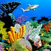 coral reef art